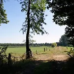 Attractive In * Westerstede