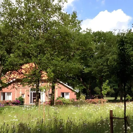 Attractive In * Westerstede
